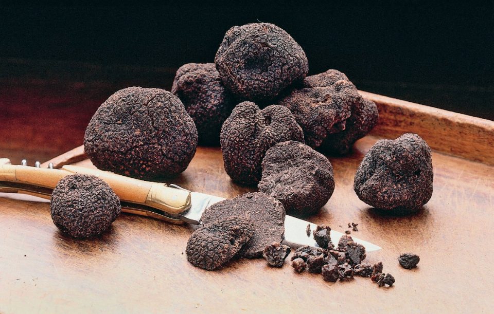 Truffe-noire-960x611.jpg