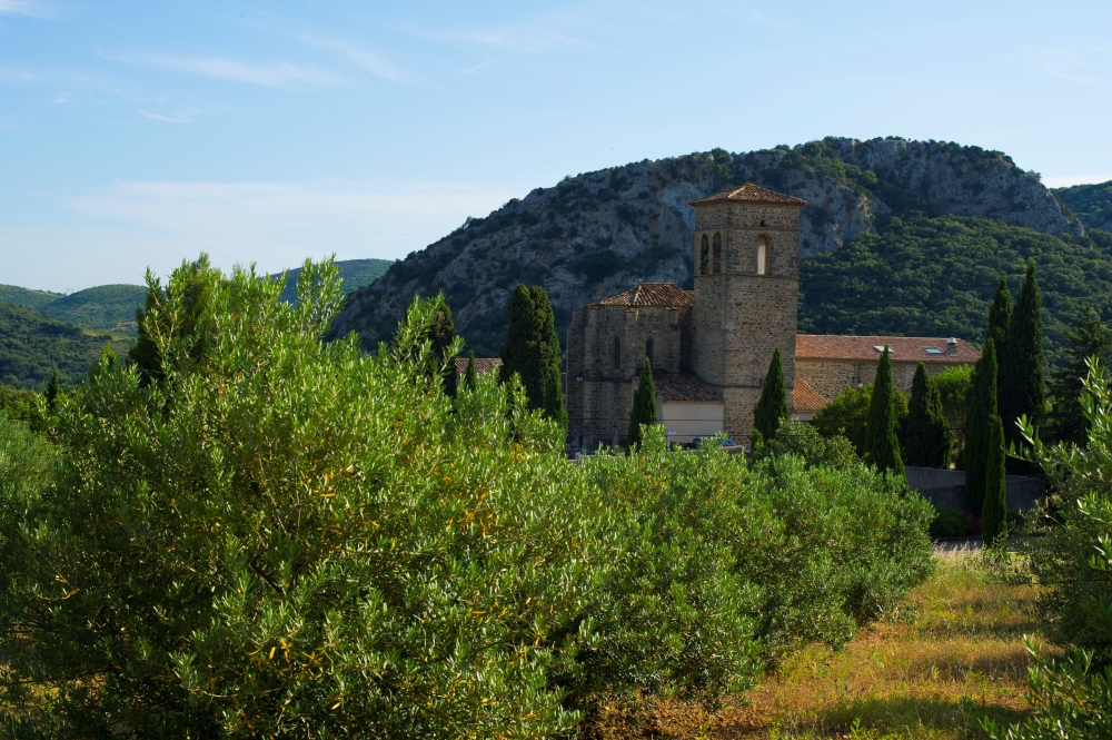 Le point sur Äponem