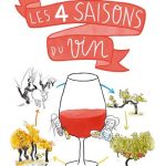 Les 4 saisons du vin : une année dans les vignes