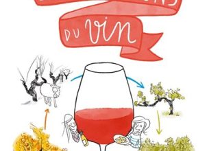 Les 4 saisons du vin : une année dans les vignes